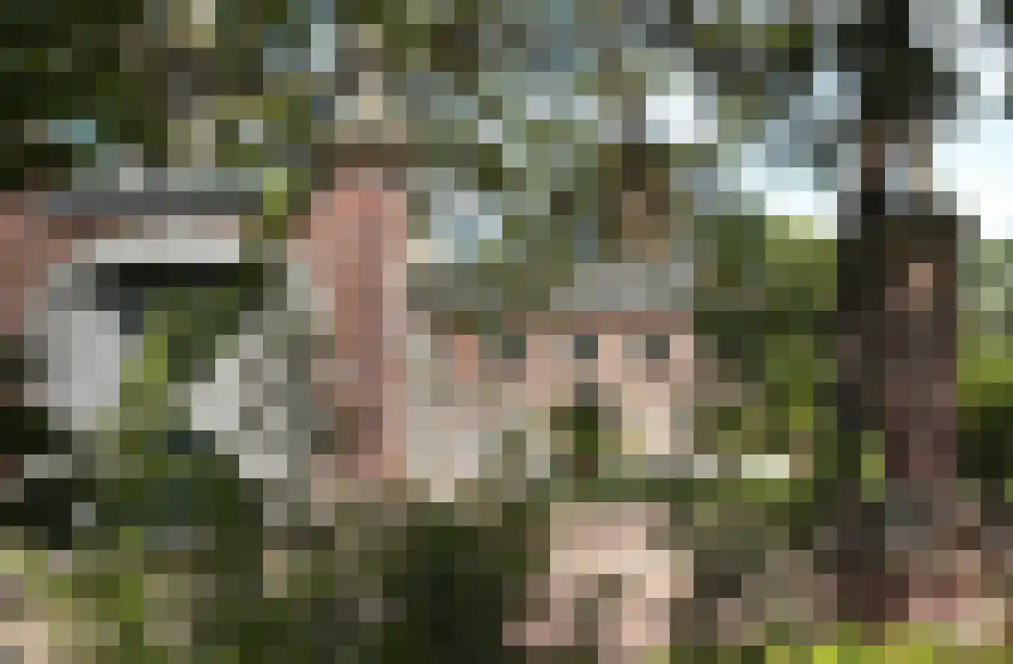 Oud Lemiers 10 Lemiers thumbnail 99