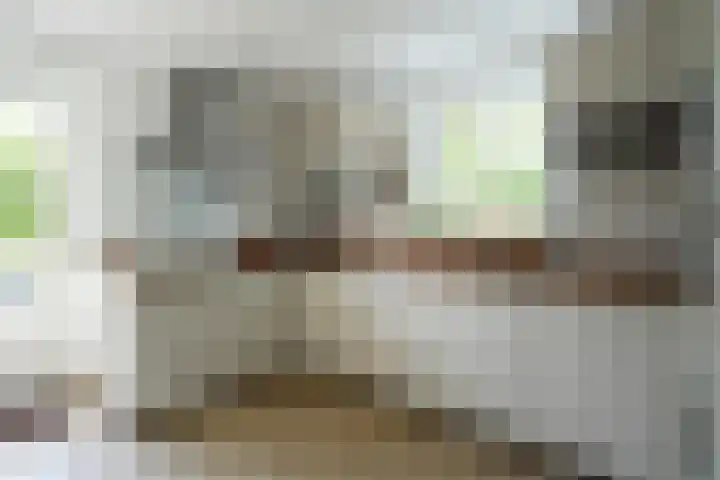 Oud Lemiers 37 Lemiers thumbnail 10