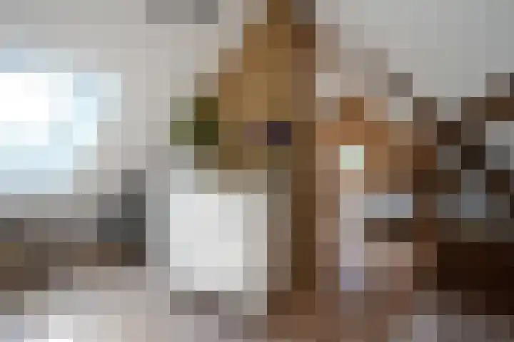 Oud Lemiers 37 Lemiers thumbnail 25