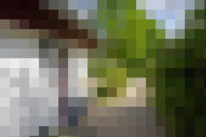 Oud Lemiers 37 Lemiers thumbnail 28
