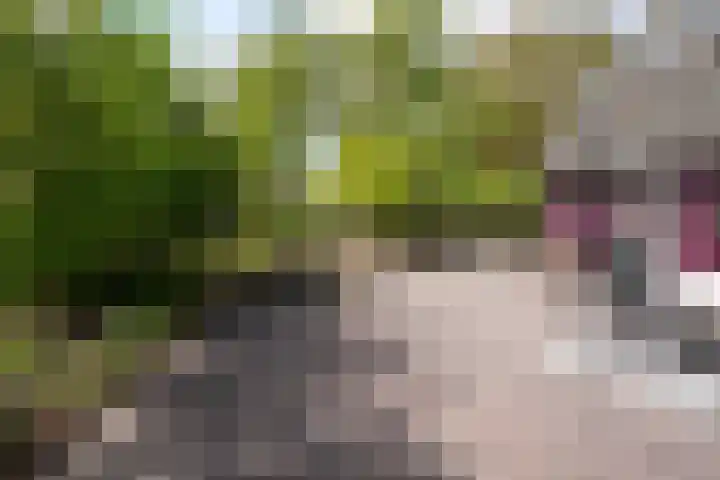 Oud Lemiers 37 Lemiers thumbnail 29