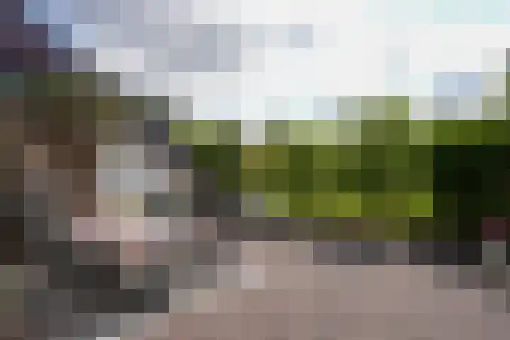 Oud Lemiers 37 Lemiers thumbnail 31