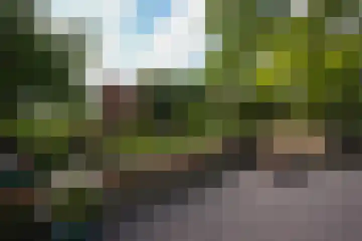 Oud Lemiers 37 Lemiers thumbnail 32