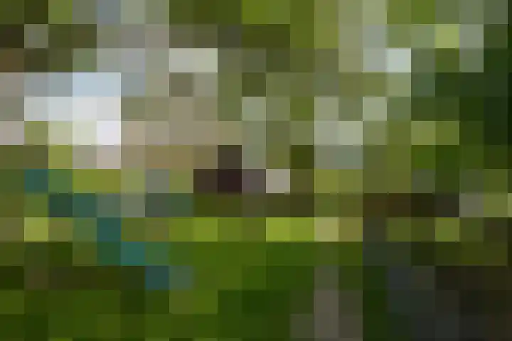 Oud Lemiers 37 Lemiers thumbnail 33