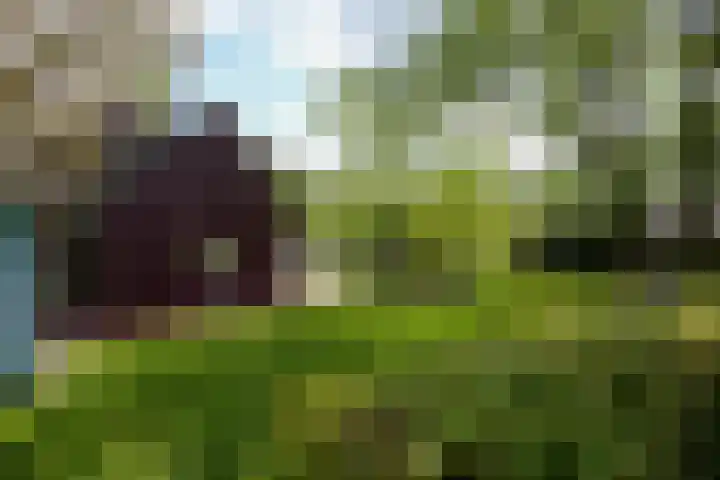 Oud Lemiers 37 Lemiers thumbnail 34