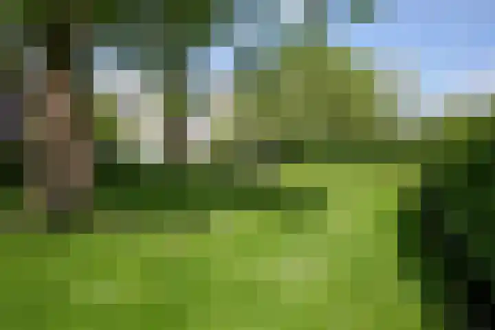 Oud Lemiers 37 Lemiers thumbnail 35