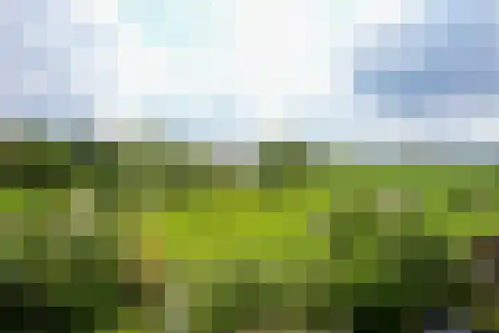 Oud Lemiers 37 Lemiers thumbnail 37