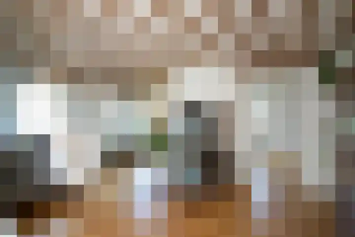 Oud Lemiers 37 Lemiers thumbnail 4