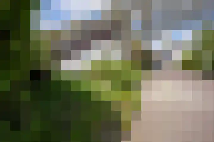 Oud Lemiers 37 Lemiers thumbnail 40