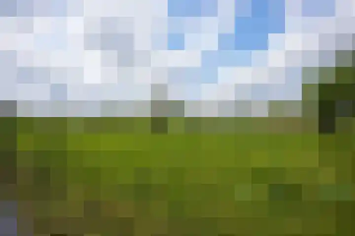 Oud Lemiers 37 Lemiers thumbnail 41