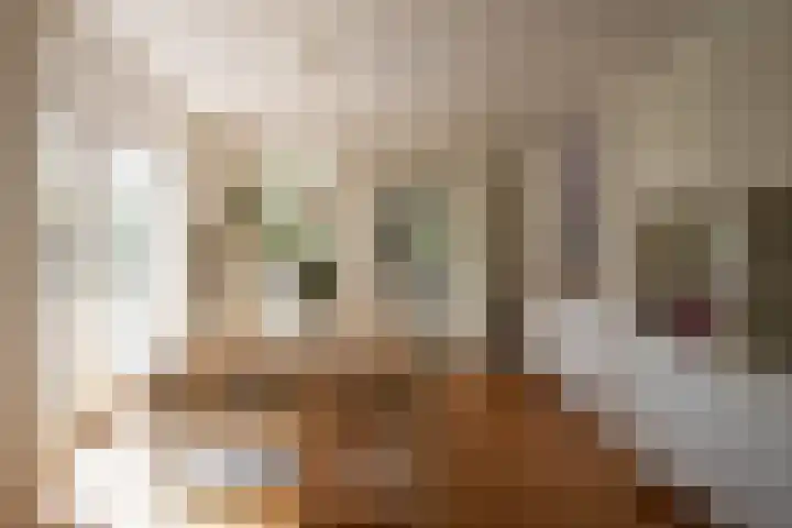 Oud Lemiers 37 Lemiers thumbnail 9