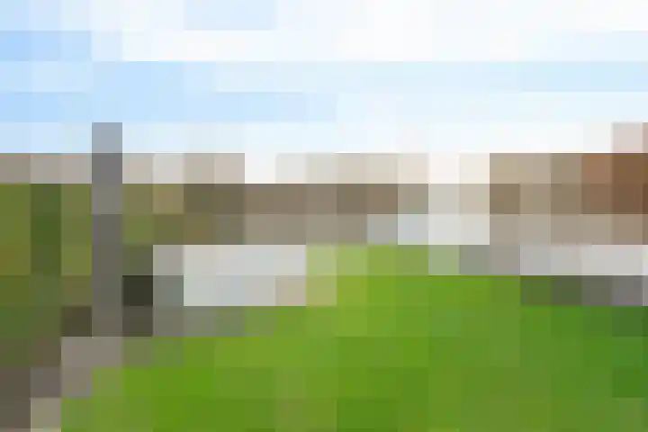 Oud-Loosdrechtsedijk 113 c A19 Loosdrecht thumbnail 16