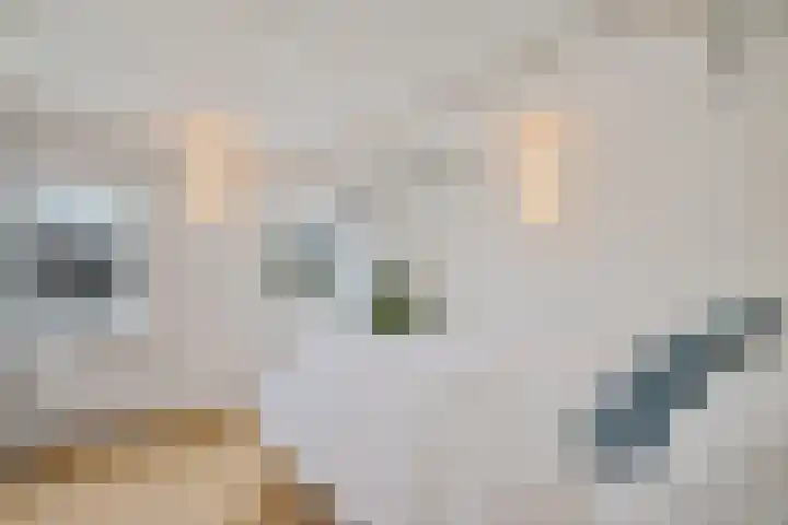 Oud-Loosdrechtsedijk 113 c A19 Loosdrecht thumbnail 26