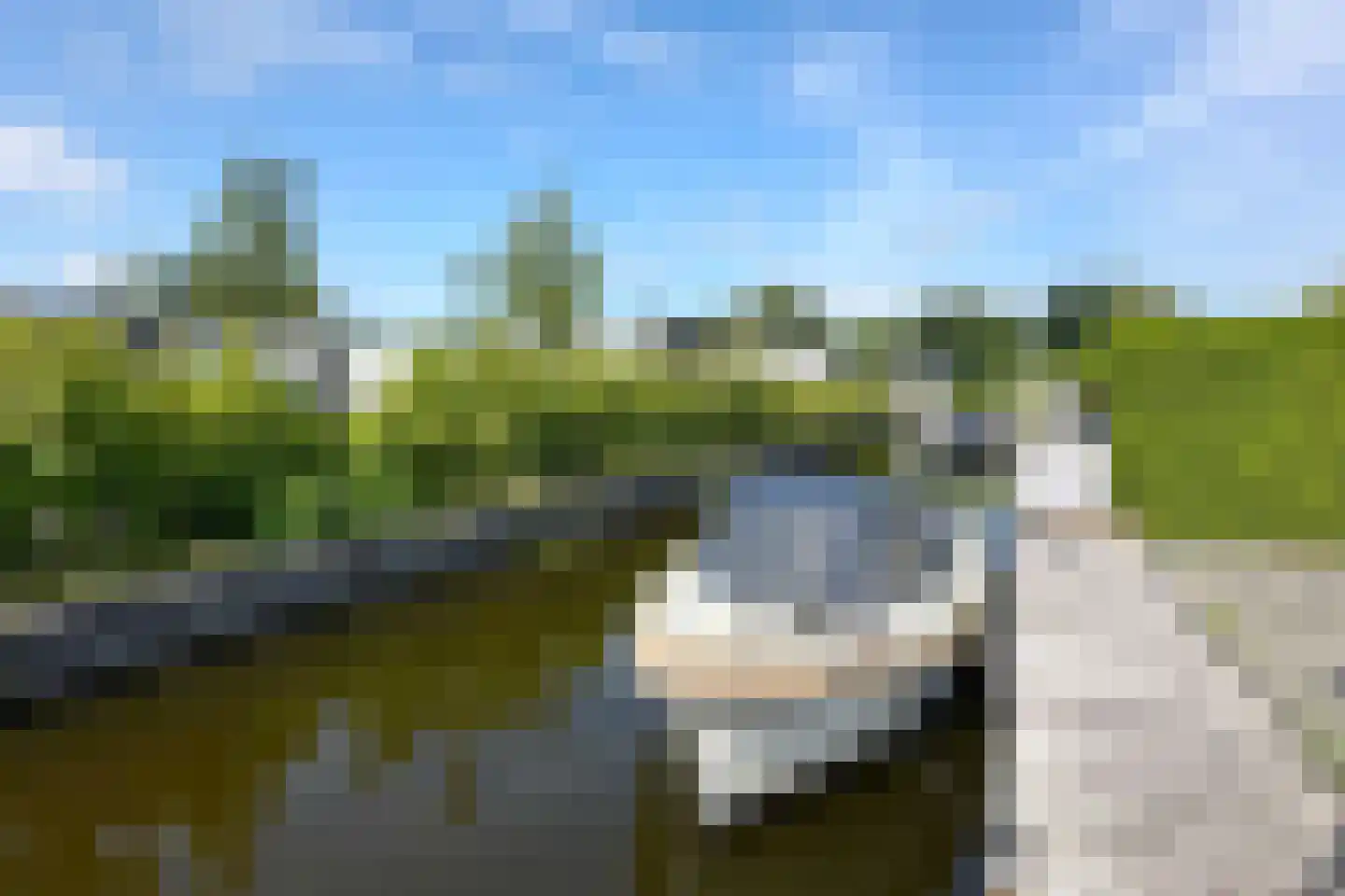 Oud-Loosdrechtsedijk 113 c J2 Loosdrecht thumbnail 20