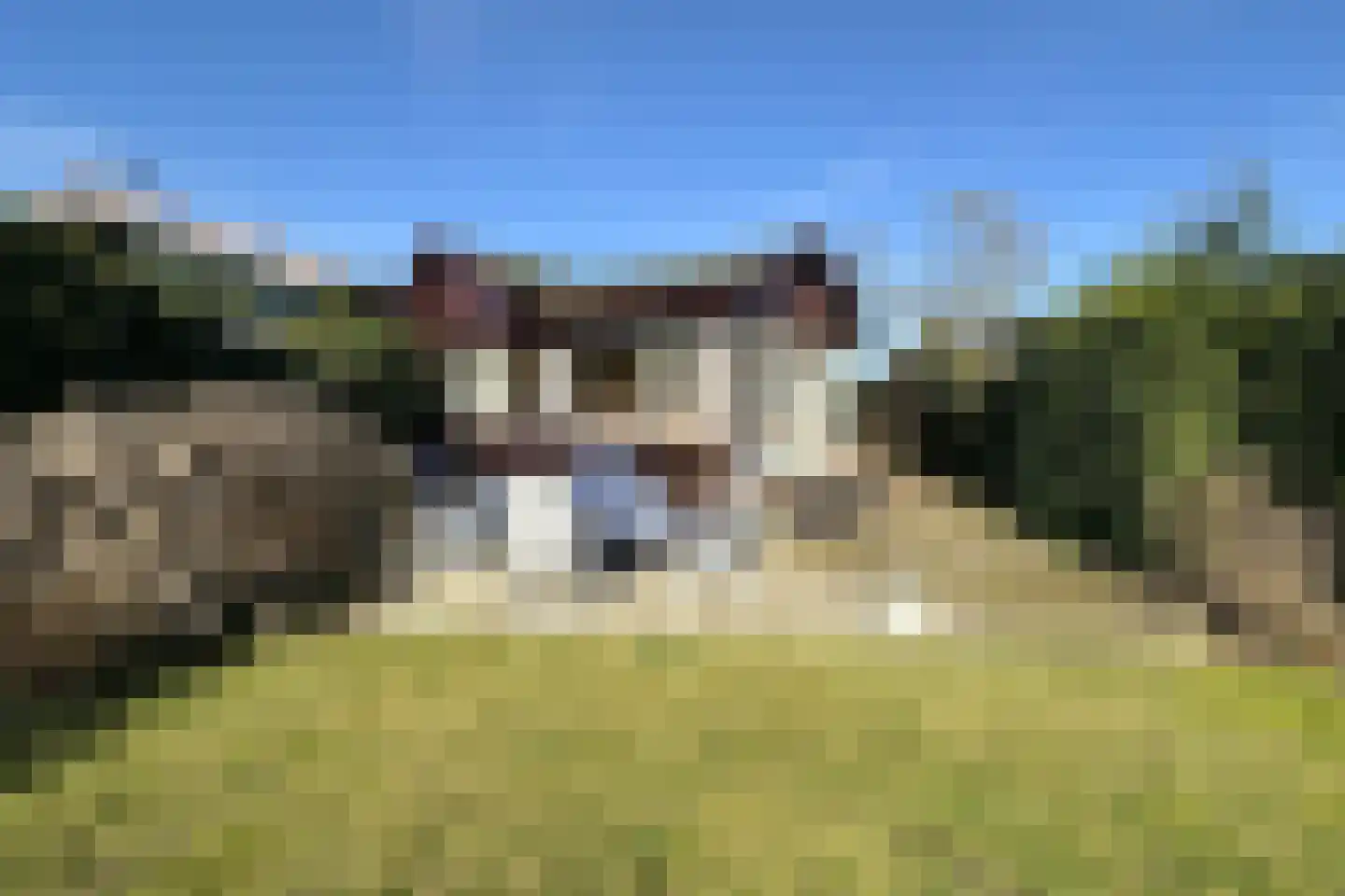 Oud-Loosdrechtsedijk 113 c T2 Loosdrecht thumbnail 15