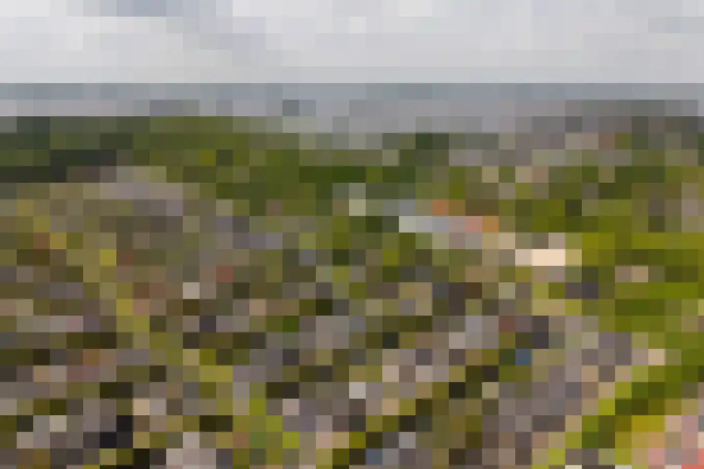 Oud-Loosdrechtsedijk 113 c W3 Loosdrecht thumbnail 30