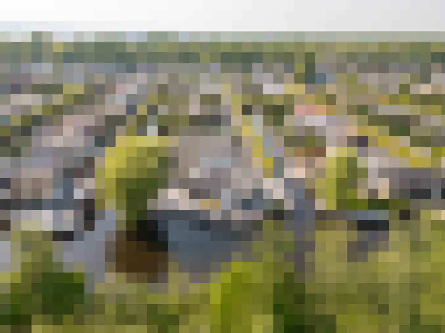 Oud-Loosdrechtsedijk 113 c W7 Loosdrecht thumbnail 6