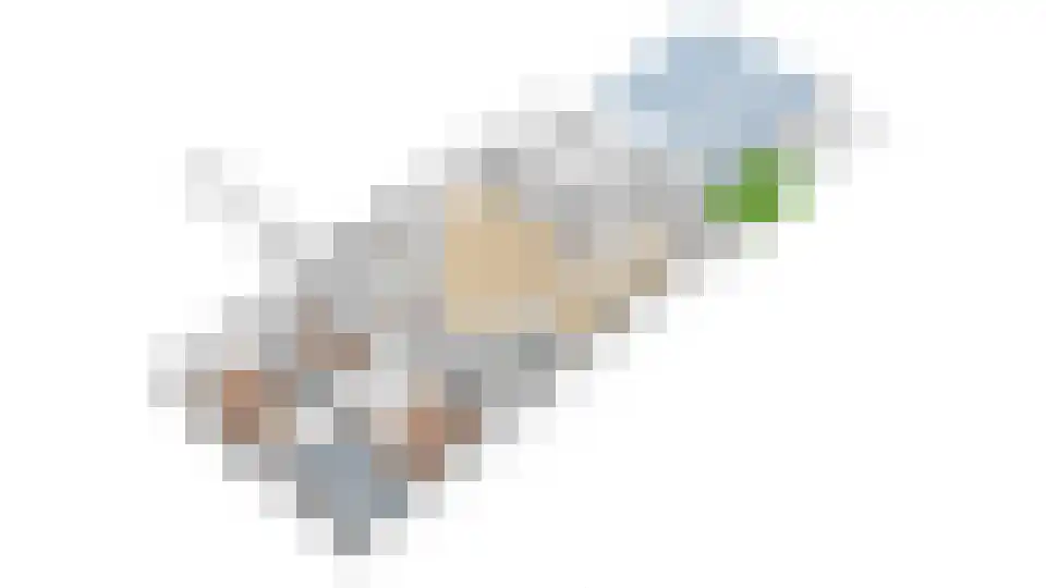 Oud-Loosdrechtsedijk 170 b Loosdrecht thumbnail 53