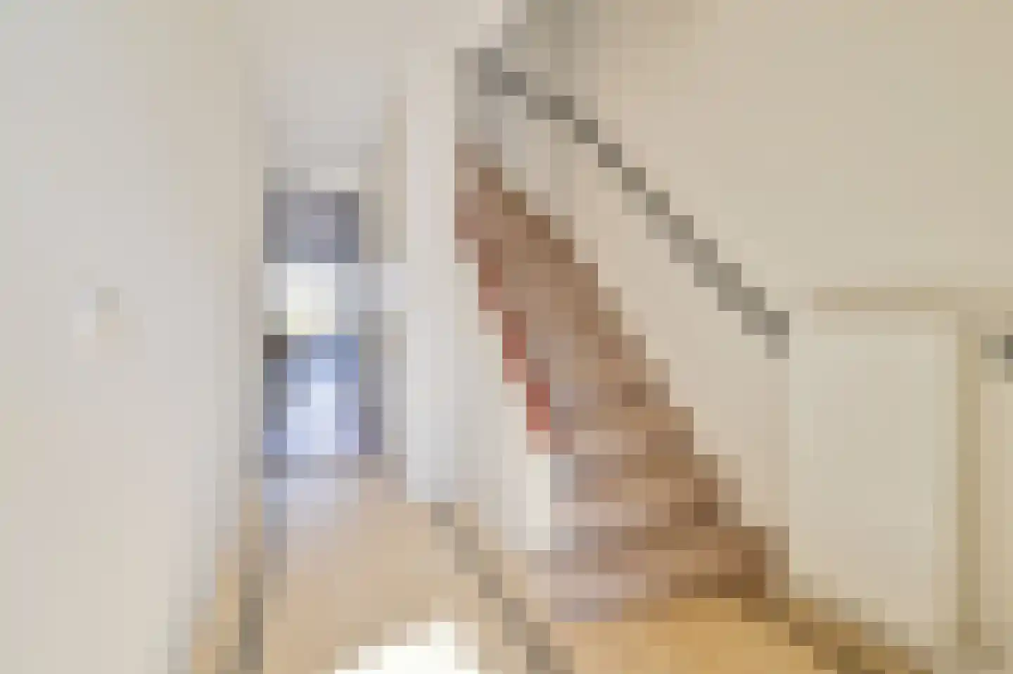 Oud Mijl 16 Amstelveen thumbnail 18