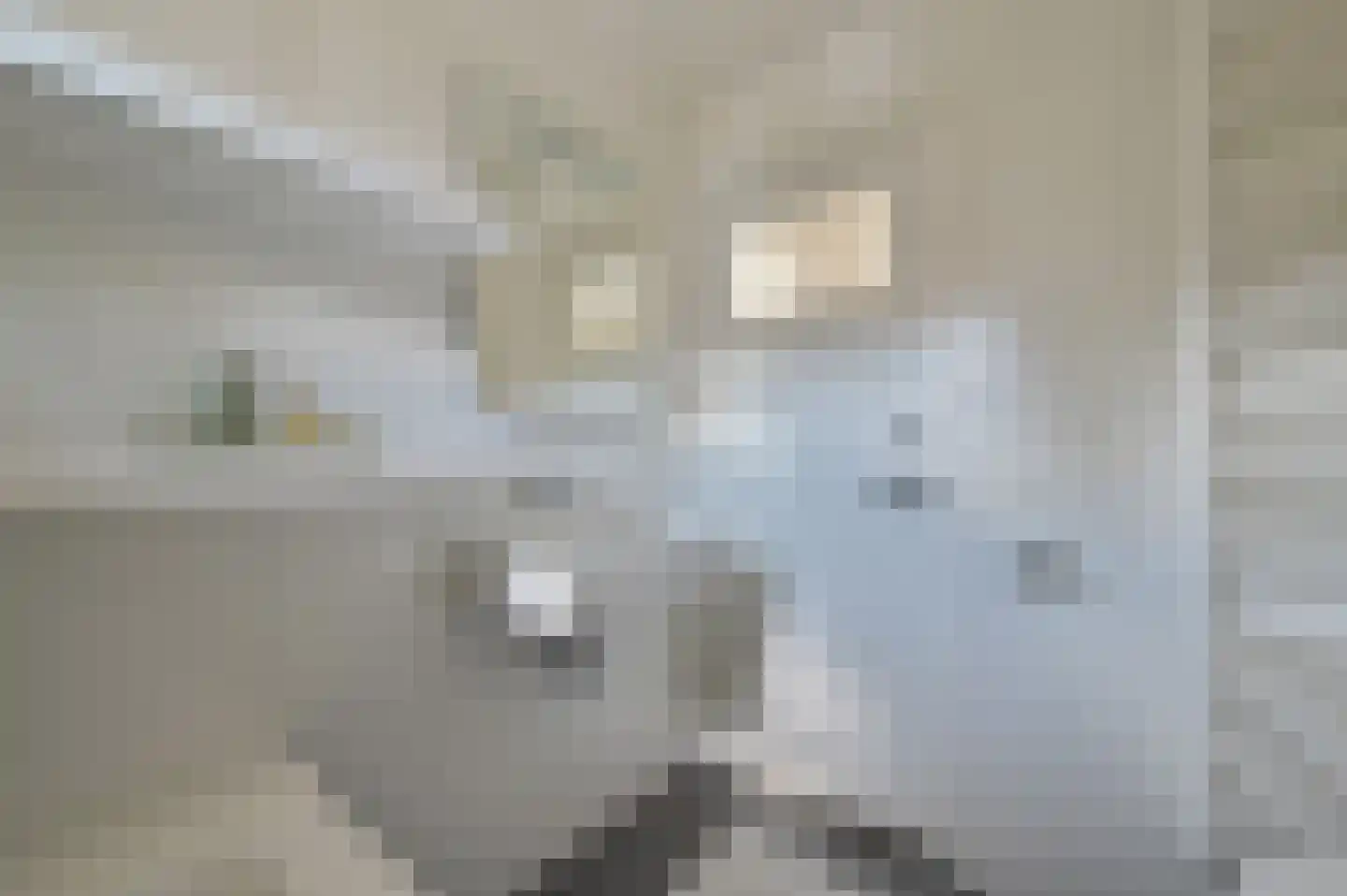 Oud Mijl 16 Amstelveen thumbnail 24