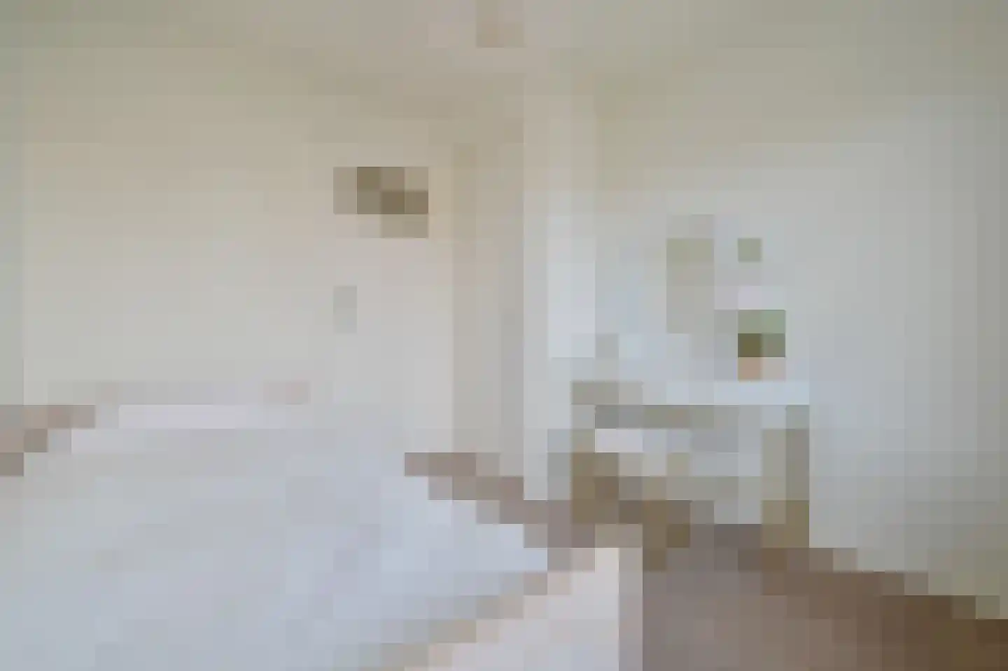 Oud Mijl 16 Amstelveen thumbnail 26