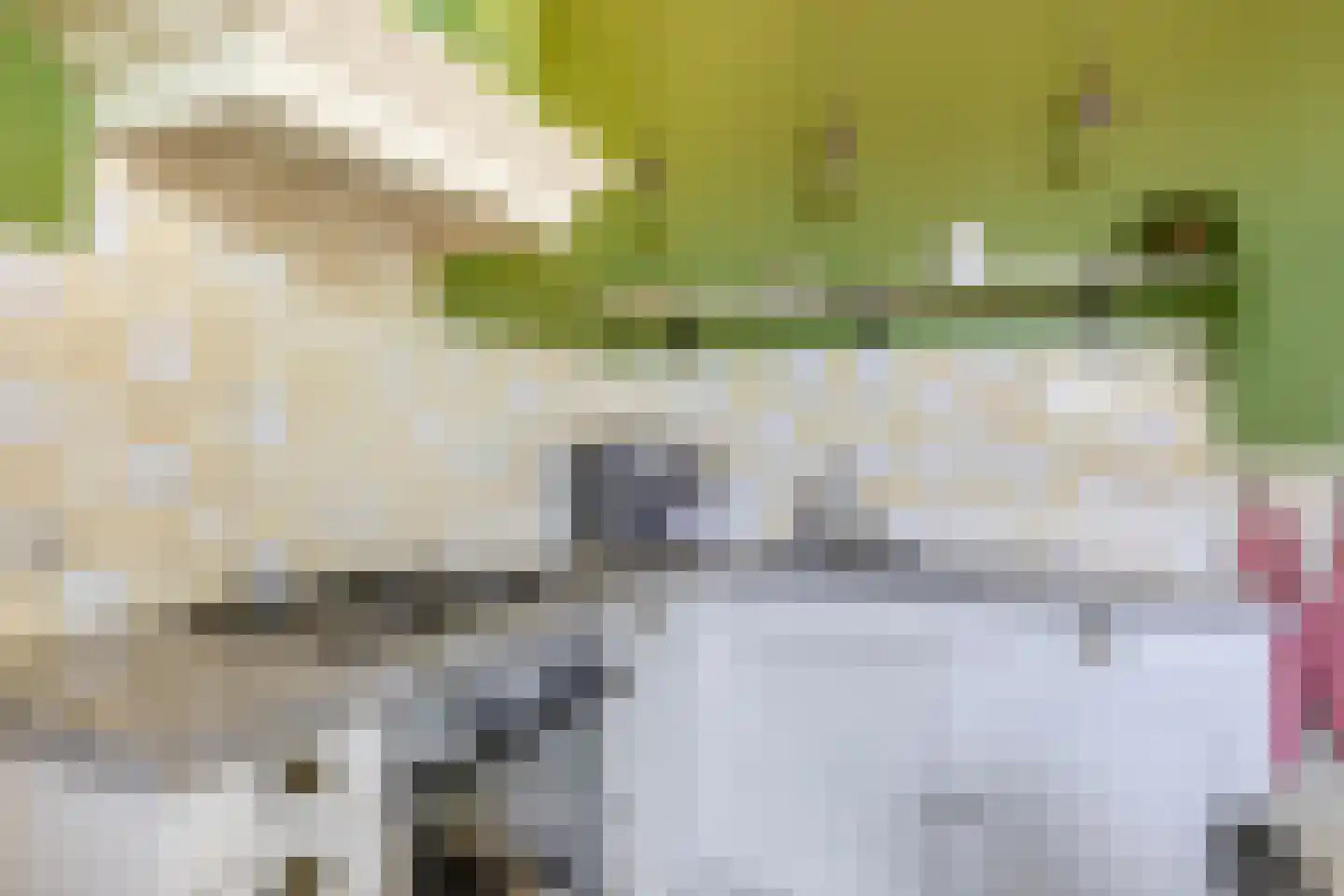 Oud Milligenseweg 2 Garderen thumbnail 10