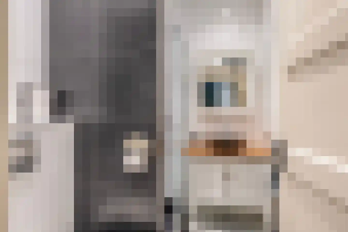 Oud Milligenseweg 2 Garderen thumbnail 15