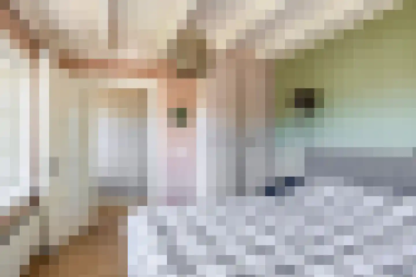 Oud Milligenseweg 2 Garderen thumbnail 19
