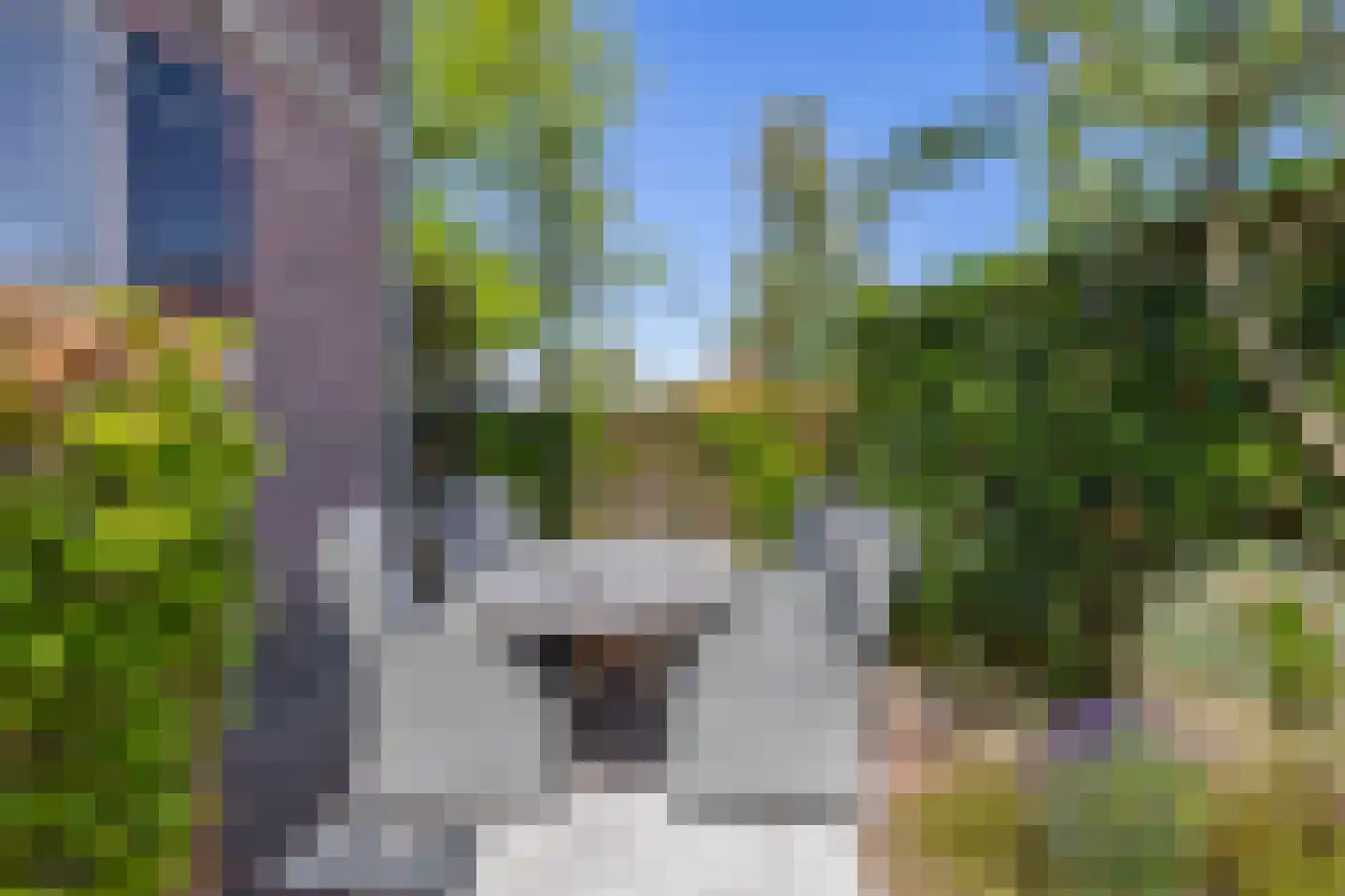 Oud Milligenseweg 2 Garderen thumbnail 31