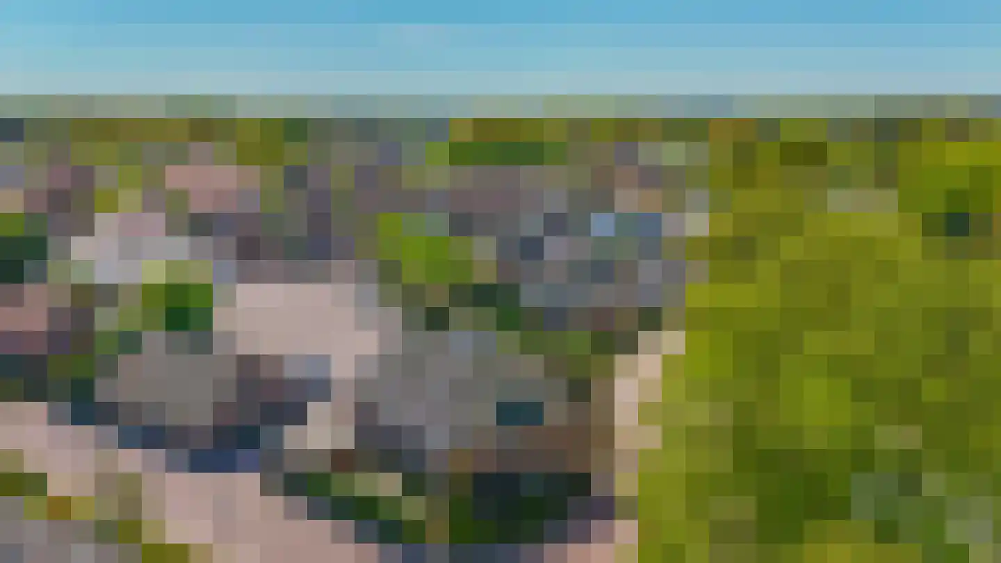 Oud Milligenseweg 2 Garderen thumbnail 40