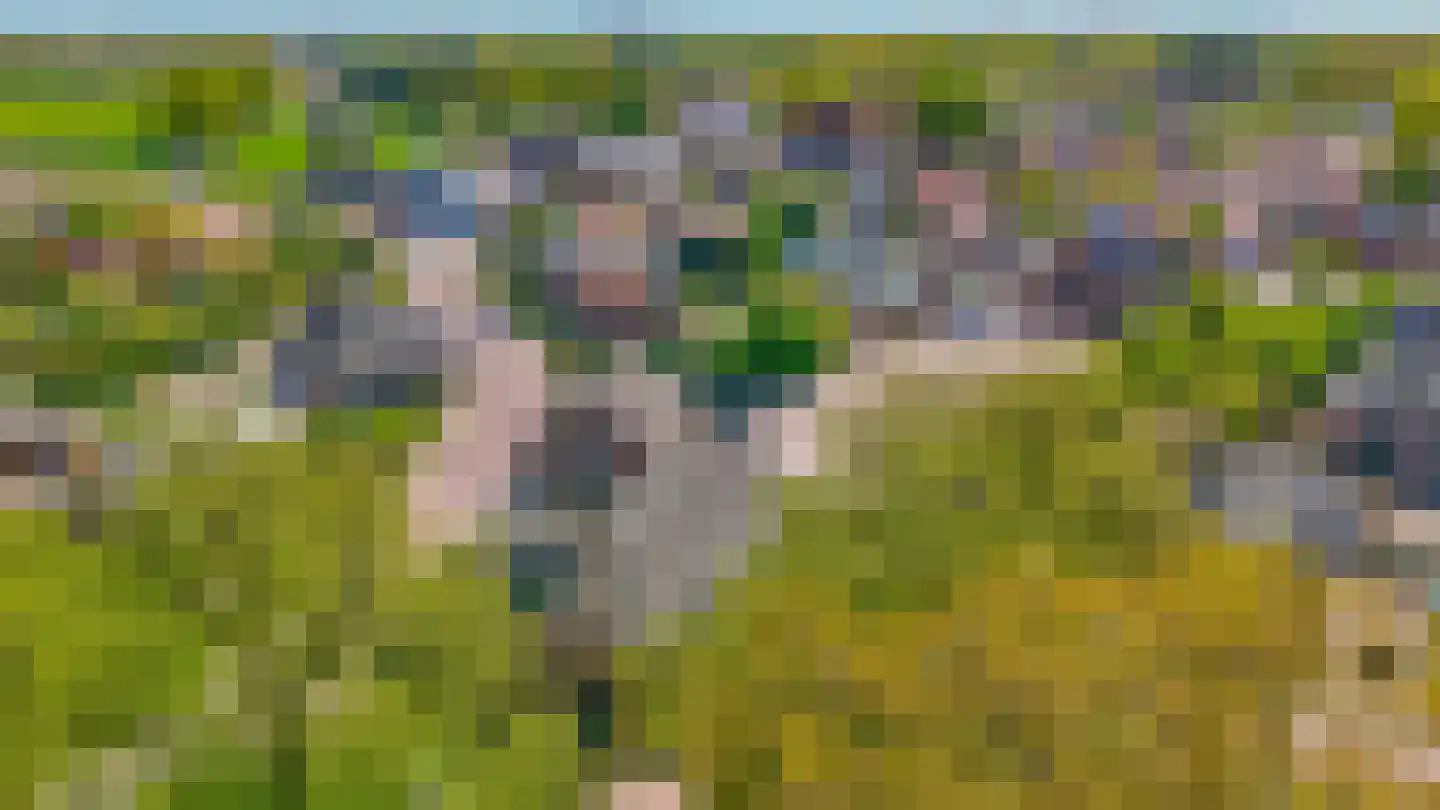 Oud Milligenseweg 2 Garderen thumbnail 41