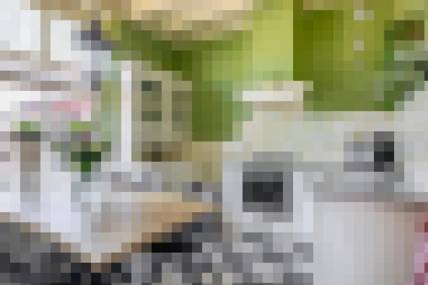 Oud Milligenseweg 2 Garderen thumbnail 8