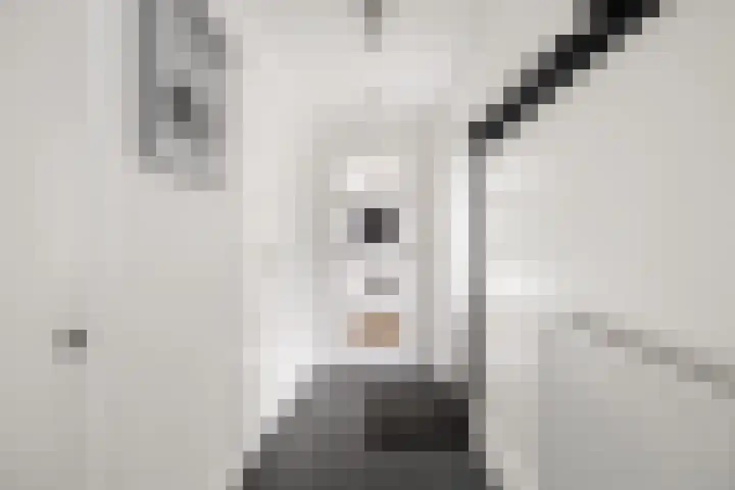 Oud Milligenseweg 28 Garderen thumbnail 11