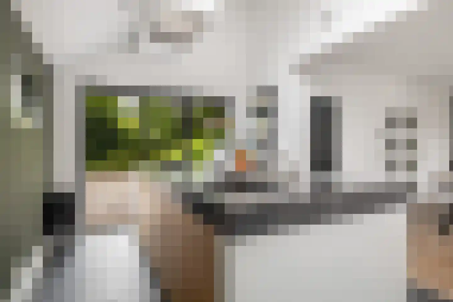 Oud Milligenseweg 28 Garderen thumbnail 20