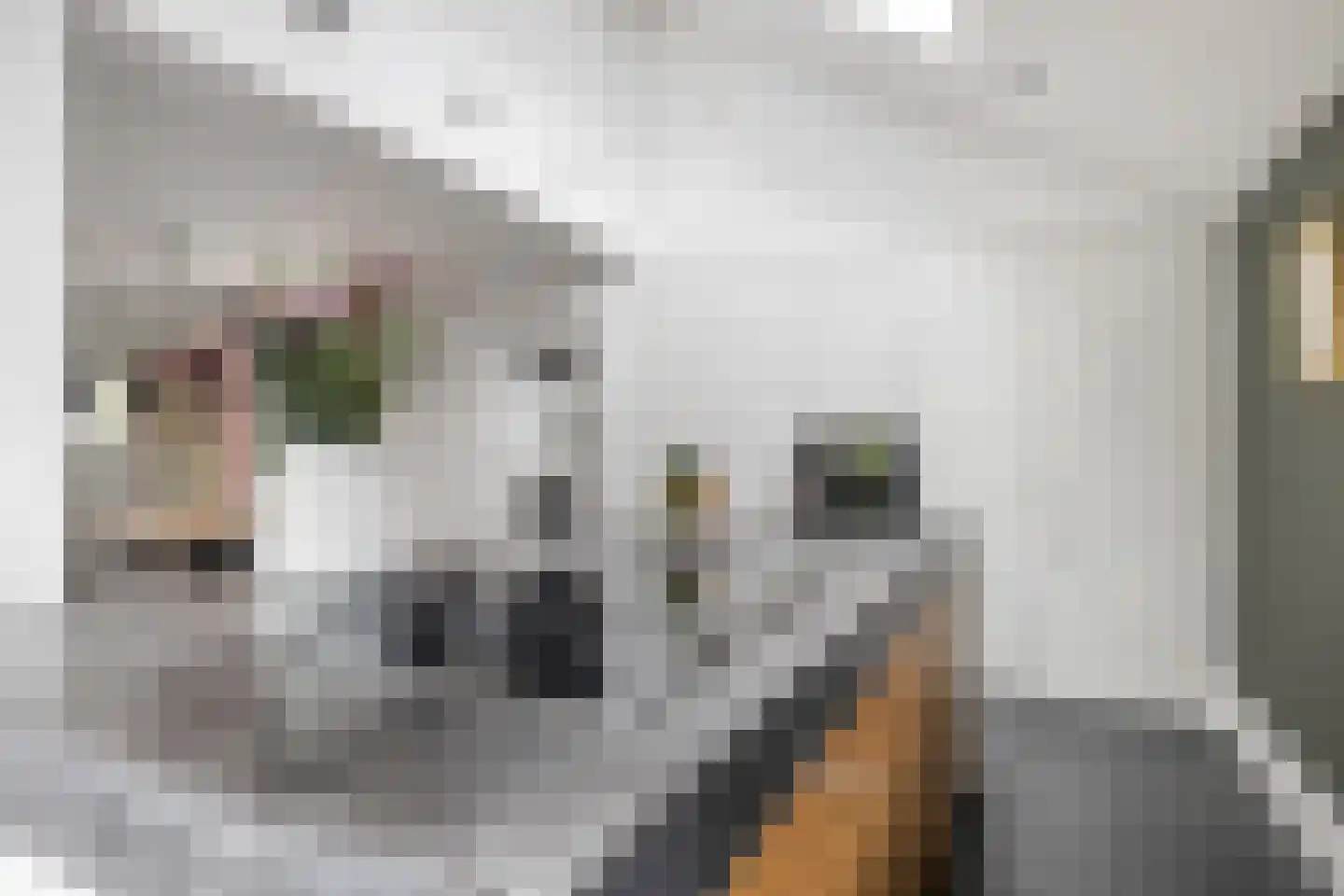 Oud Milligenseweg 28 Garderen thumbnail 21