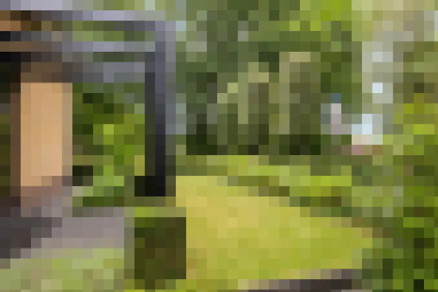 Oud Milligenseweg 28 Garderen thumbnail 32