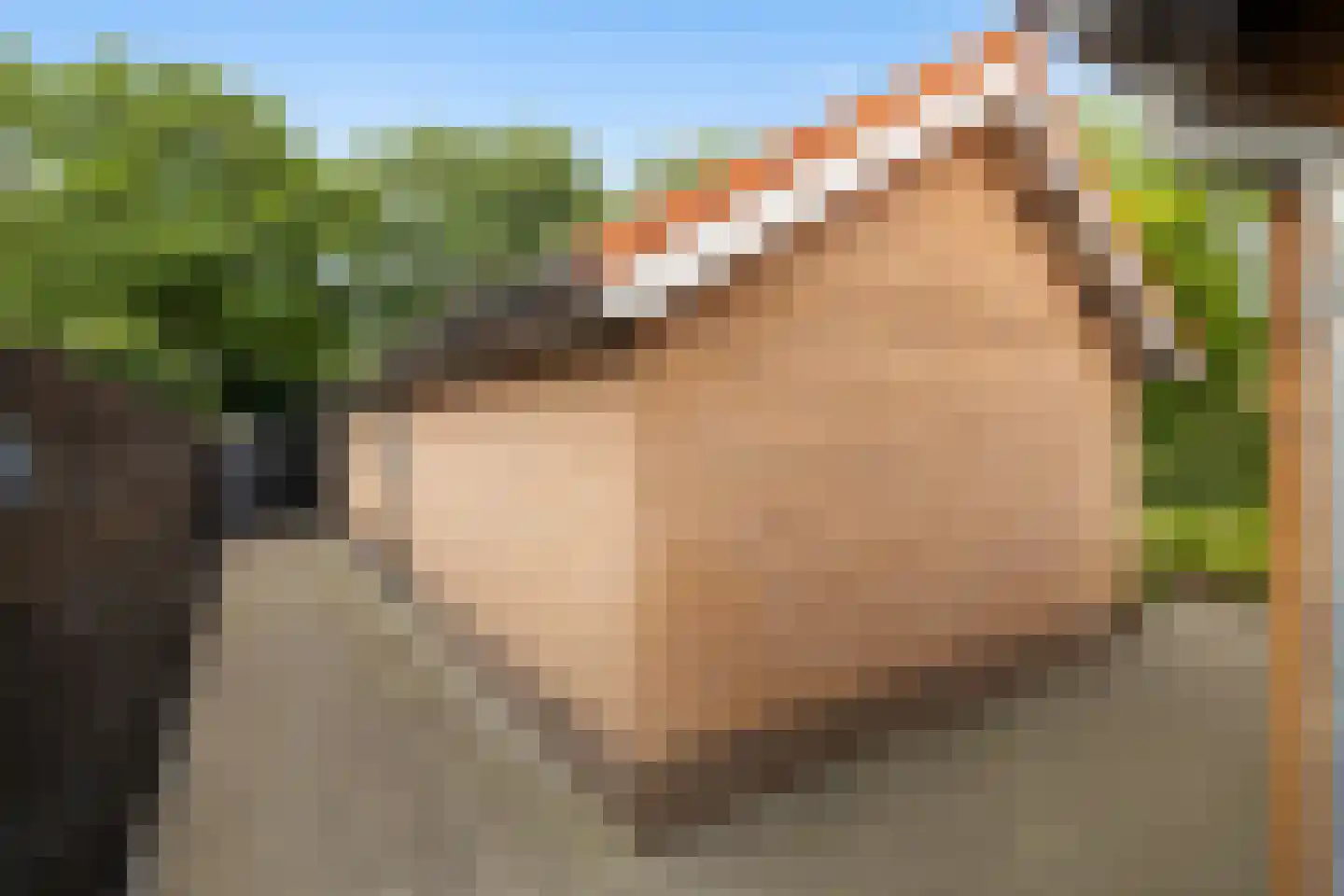Oud Milligenseweg 28 Garderen thumbnail 36