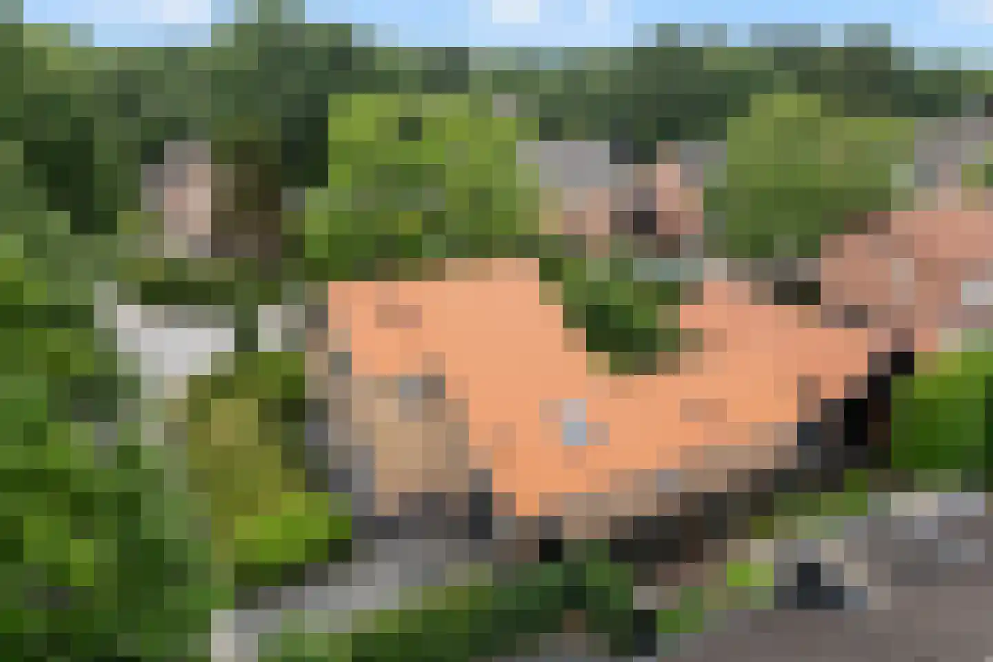 Oud Milligenseweg 28 Garderen thumbnail 4
