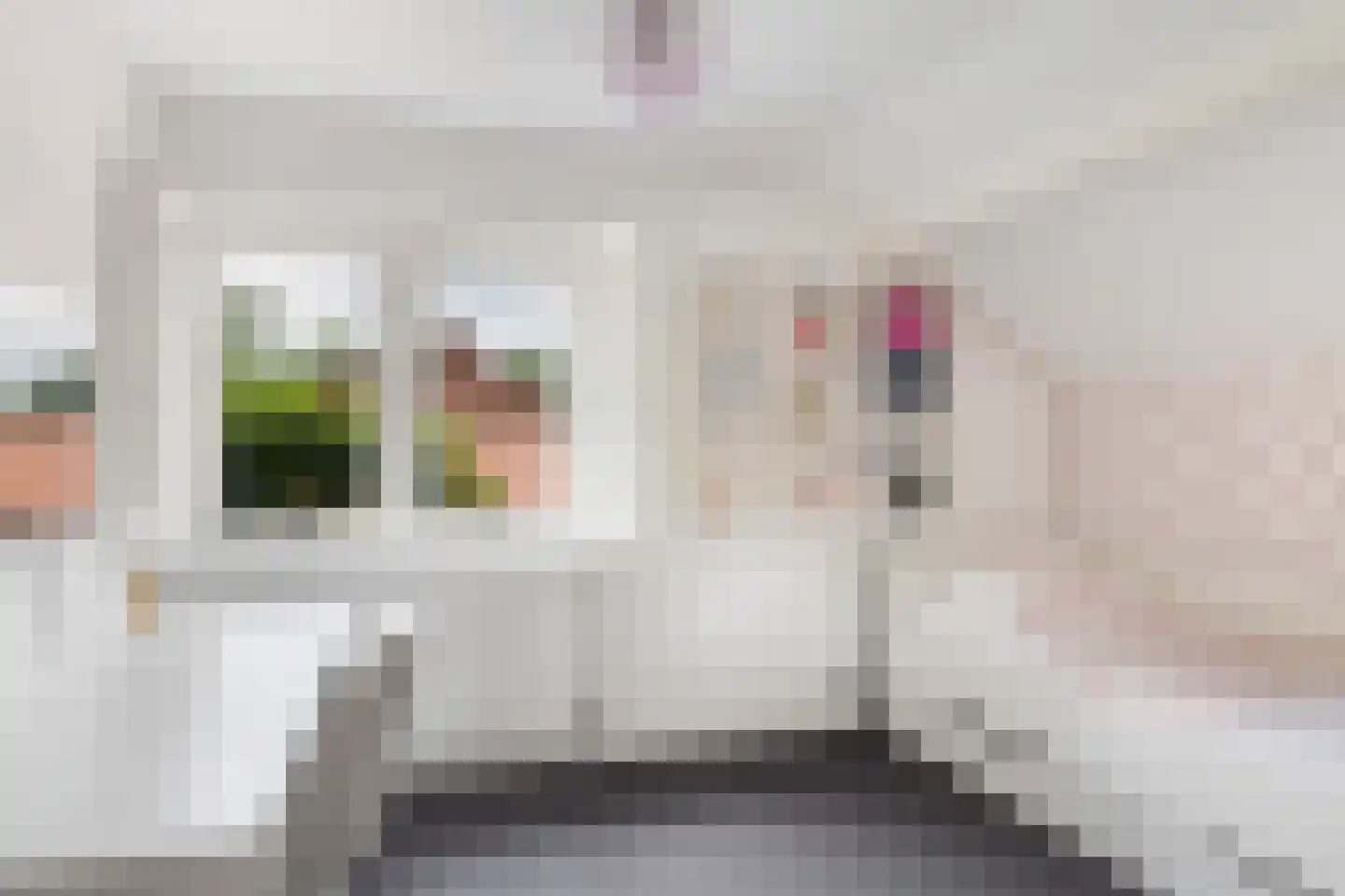 Oud Milligenseweg 28 Garderen thumbnail 44