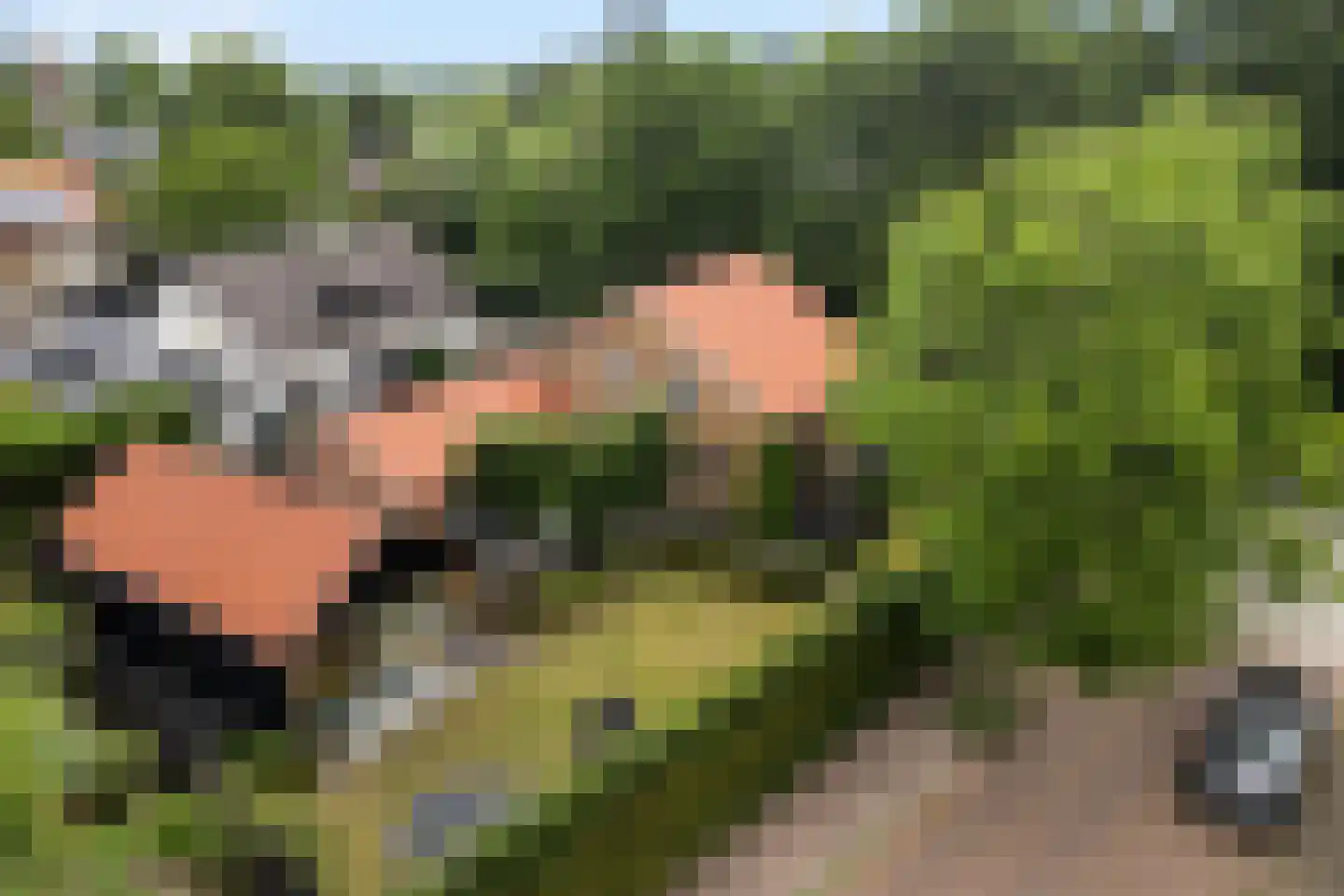 Oud Milligenseweg 28 Garderen thumbnail 5