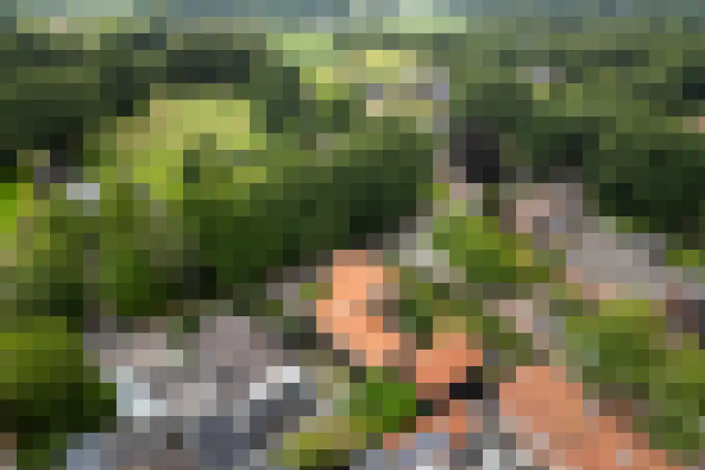 Oud Milligenseweg 28 Garderen thumbnail 51