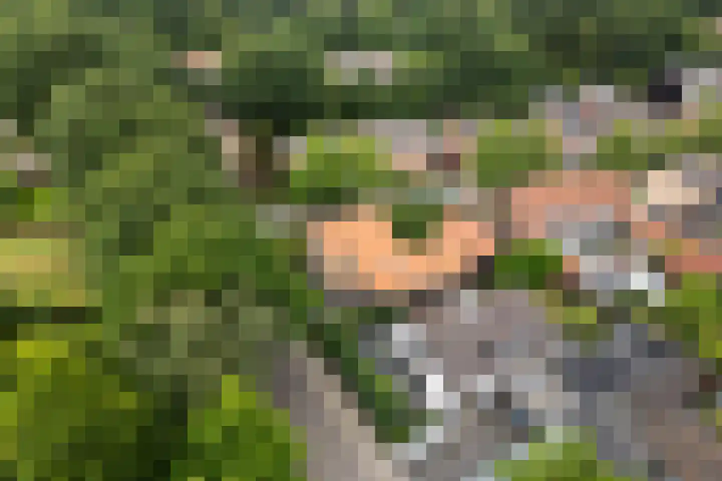 Oud Milligenseweg 28 Garderen thumbnail 52