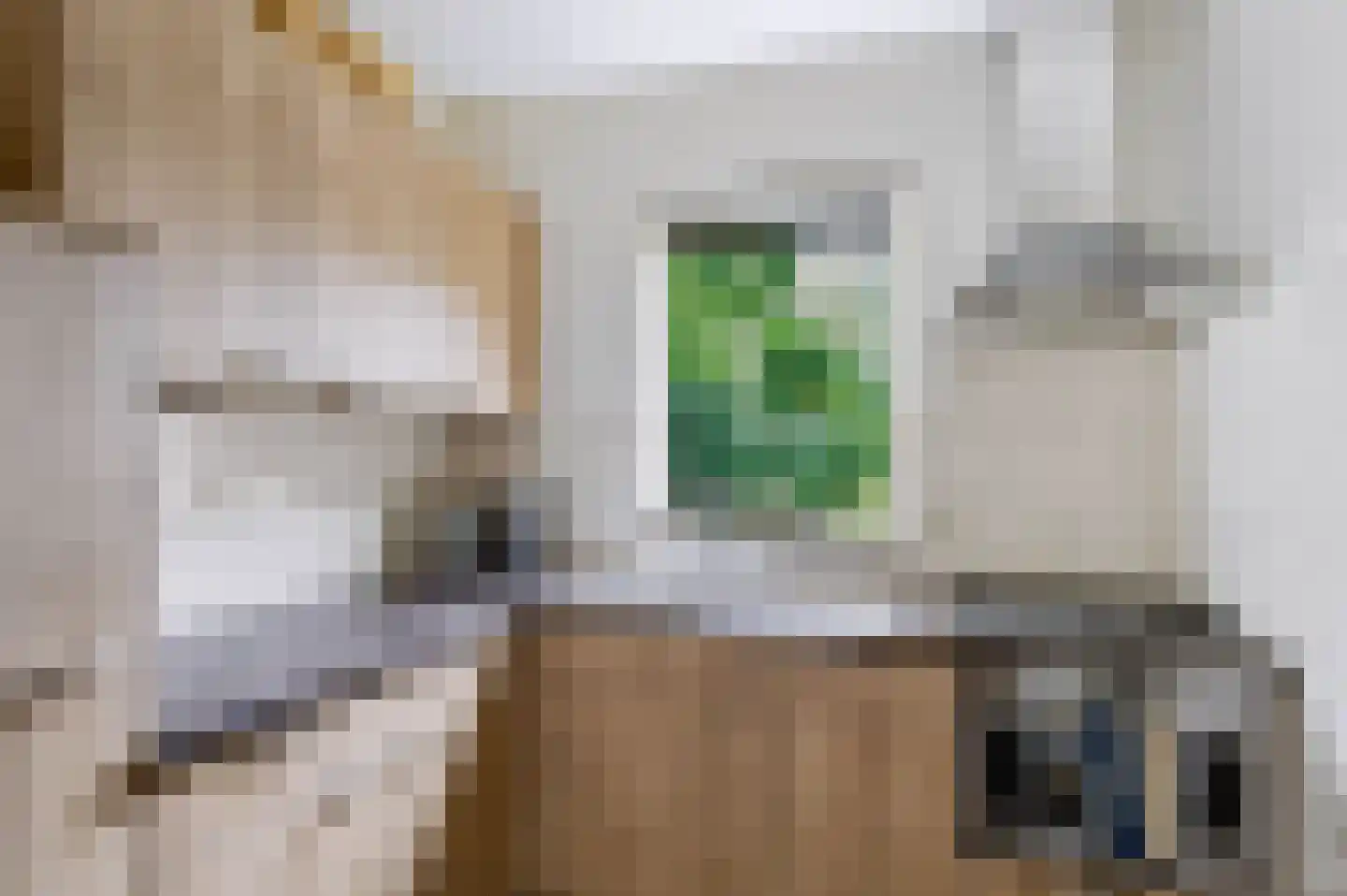 Oud Milligenseweg 32 Garderen thumbnail 18