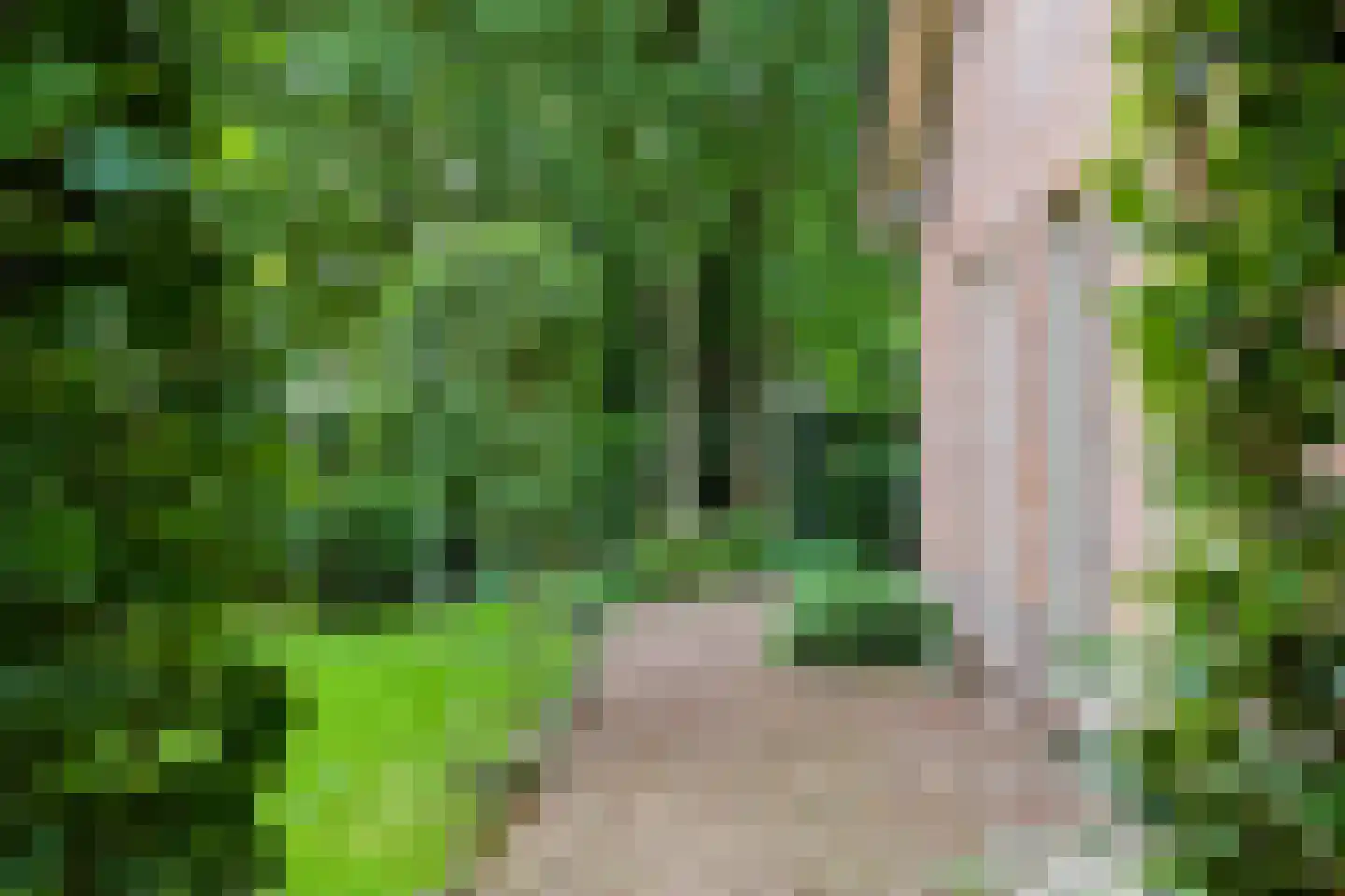 Oud Milligenseweg 32 Garderen thumbnail 37