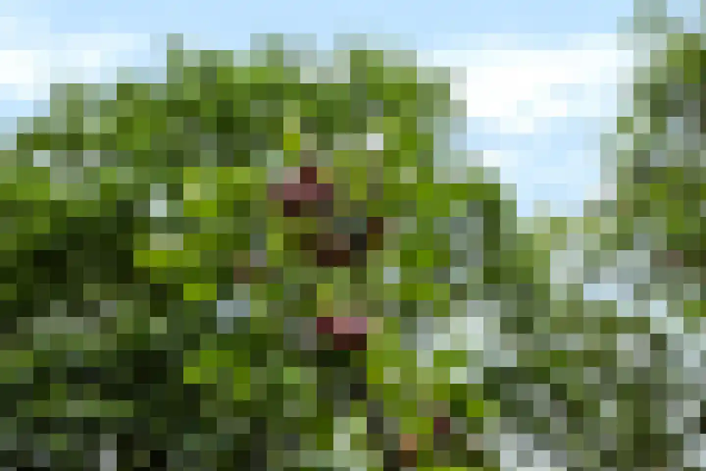 Oud Milligenseweg 32 Garderen thumbnail 38