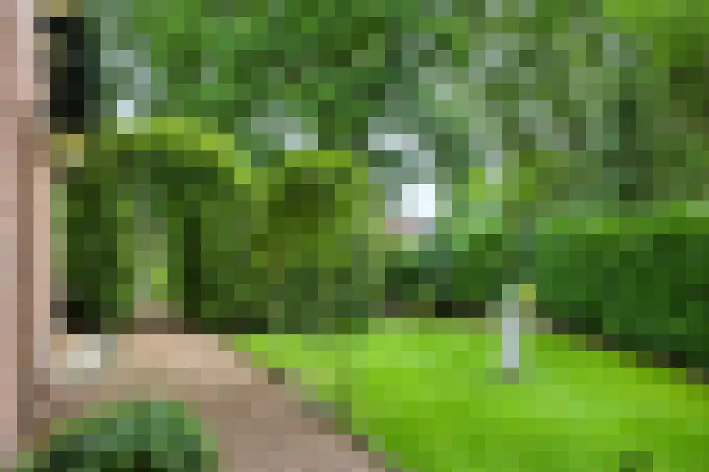 Oud Milligenseweg 32 Garderen thumbnail 39