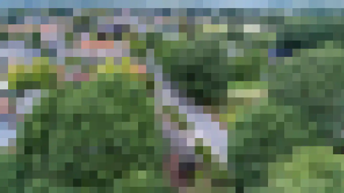 Oud Milligenseweg 32 Garderen thumbnail 48