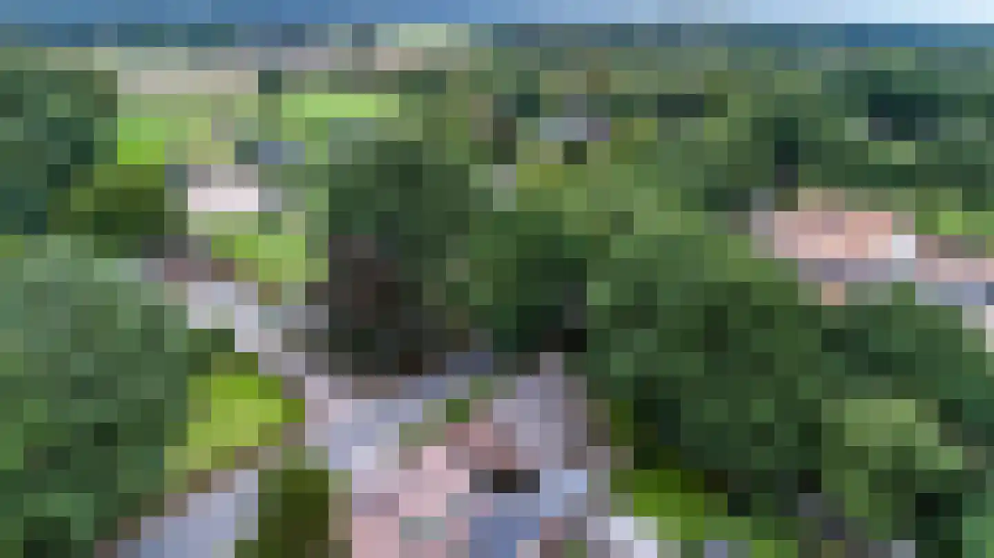 Oud Milligenseweg 32 Garderen thumbnail 7
