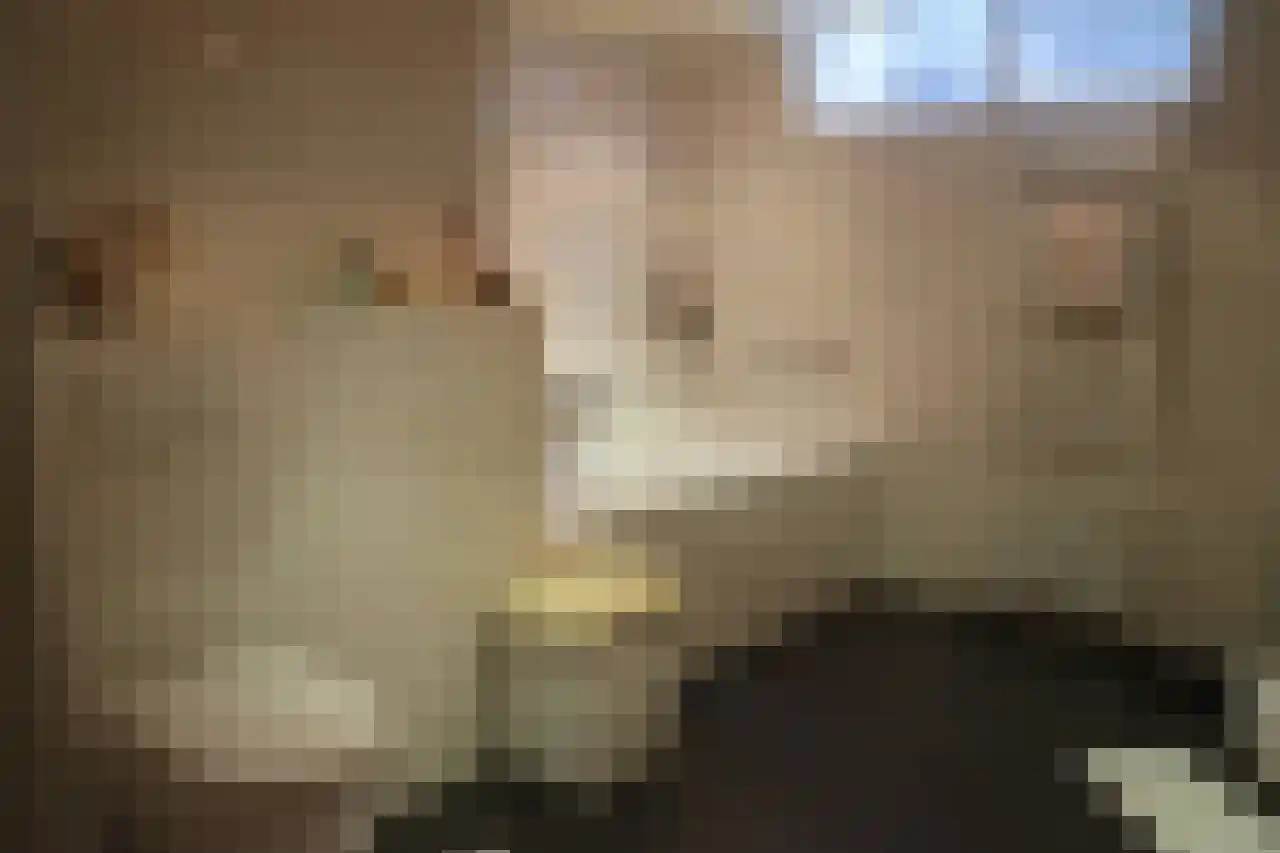 Oud Milligenseweg 38 23 Garderen thumbnail 17
