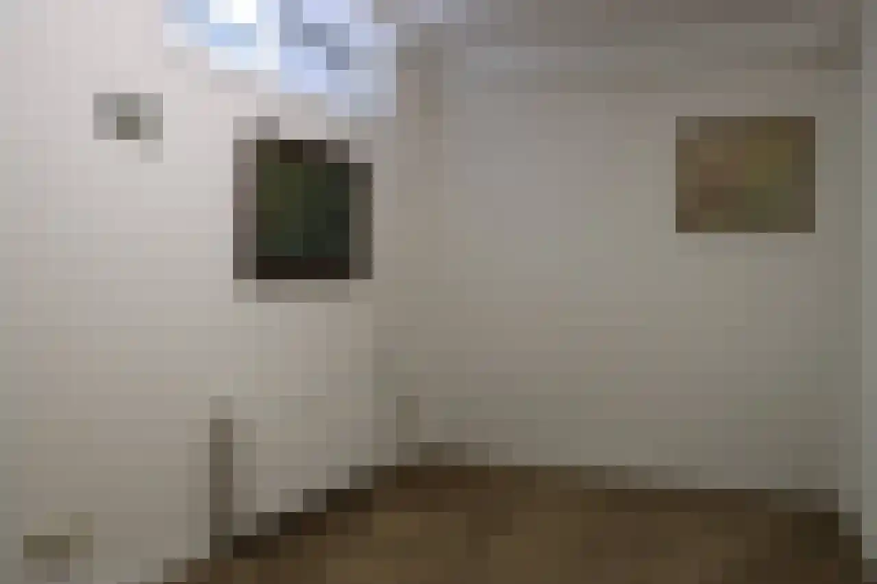 Oud Milligenseweg 38 23 Garderen thumbnail 22